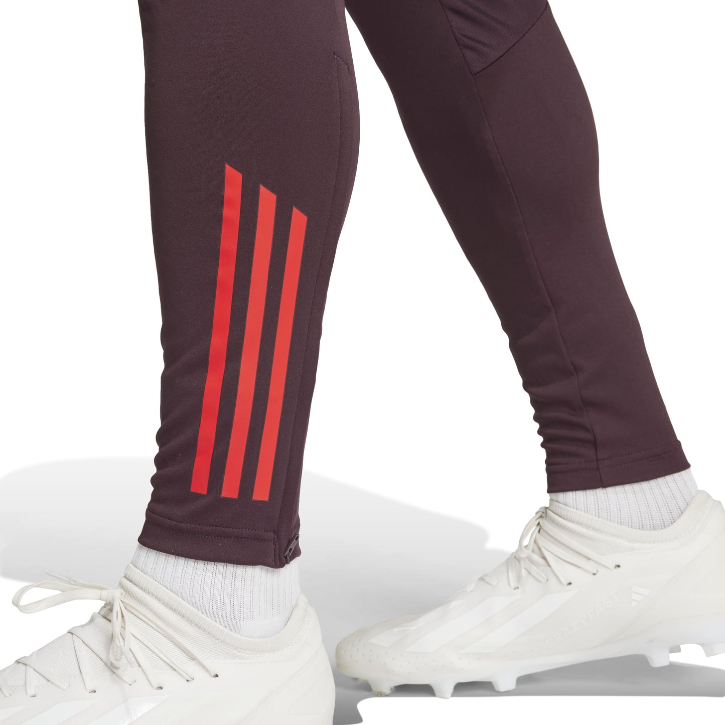 Bayern Munich Training Pants 2024/25