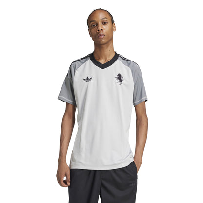 Juventus GK TFL Jersey 2024/25 - grey