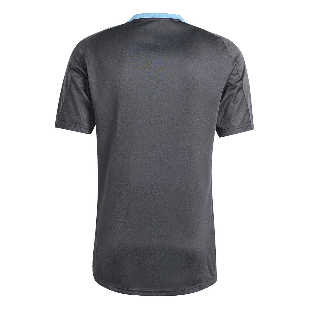 Argentina National Team Training Jersey 2024/25 - Grey