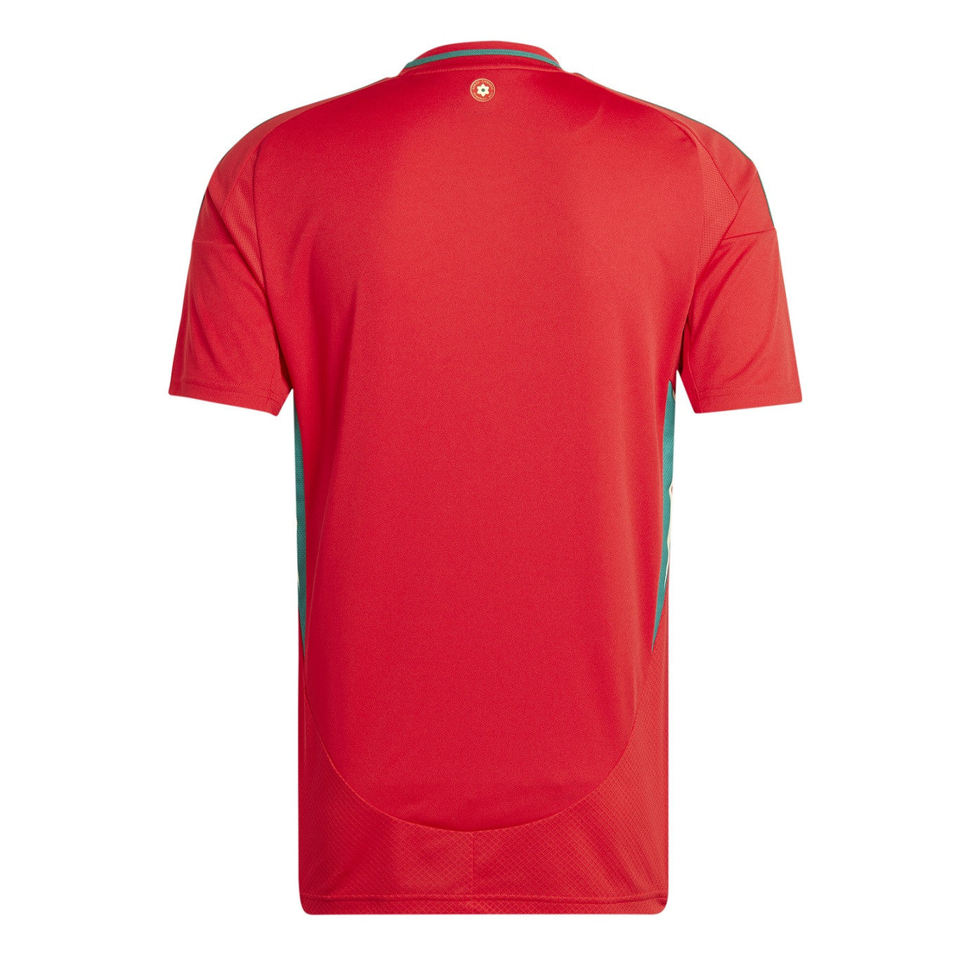 Wales National Team Home Jersey 2024/25