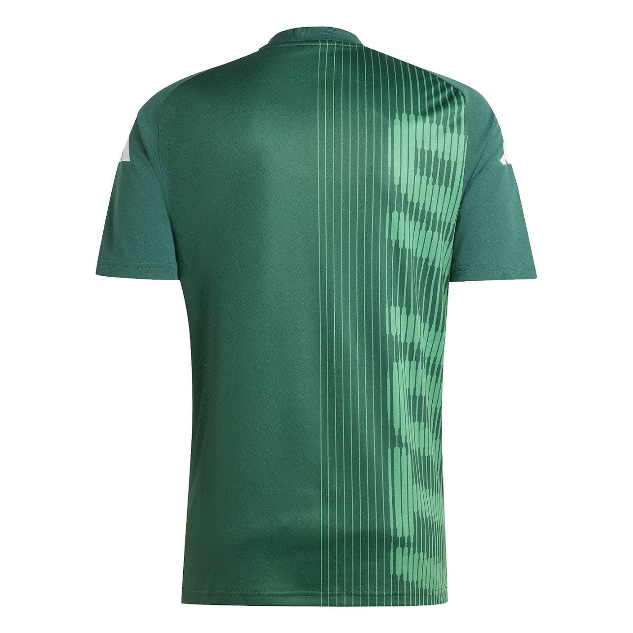 Italy National Team Pre-match Jersey 2024/25 - green