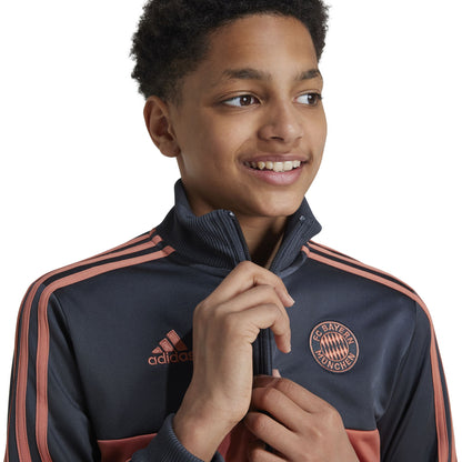 Bayern Munich Youth Fan Tracksuit 2024/25