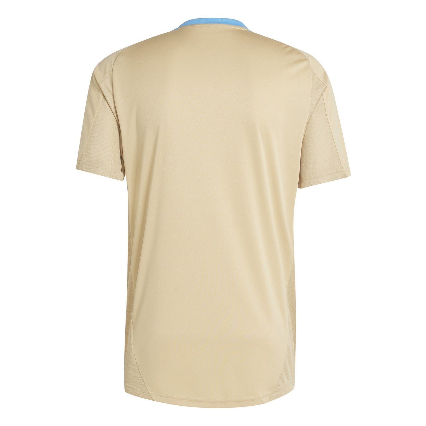 Argentina National Team Training Jersey 2024/25 - Hazy Beige